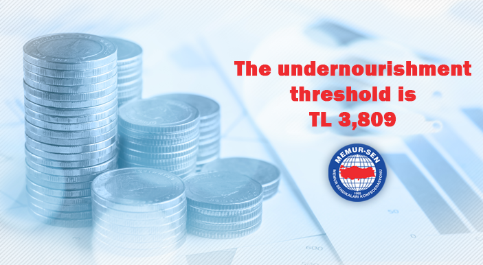 The undernourishment threshold is TL 3,809 