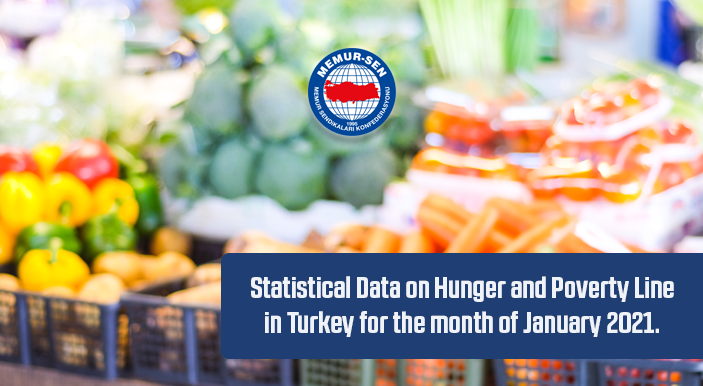Statistical Data on Hunger and Poverty Line in Turkey for the month of January 2021