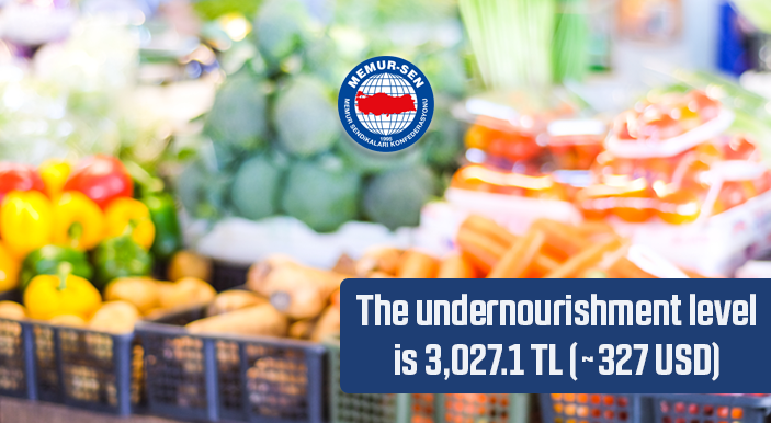 The undernourishment level is 3,027.1 TL (~327 USD)