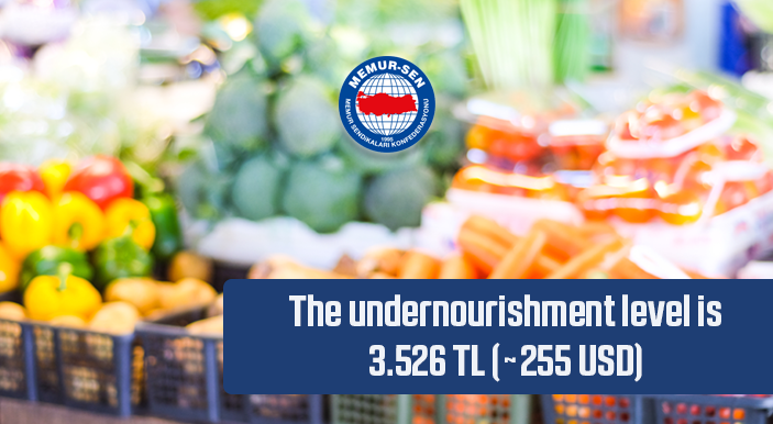The undernourishment level is 3.526 TL (~255 USD)